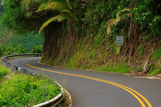 Road to Hana: Full-Day Scenic Drive with Blacksand & Waterfalls - Wailua Valley and the rainbow eucalyptus trees