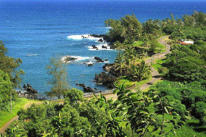 Road to Hana Tour with Lunch and Pickup - Ke’anae Point and the changing Maui coast