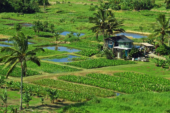 Road to Hana Tour with Lunch and Pickup - Wai’anapanapa’s black sand and volcanic shore