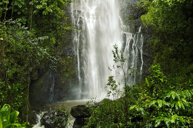 Road to Hana Tour with Lunch and Pickup - Pua’a Ka’a and the chance to swim