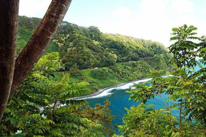 Road to Hana Tour with Lunch and Pickup - What the small group feels like in practice