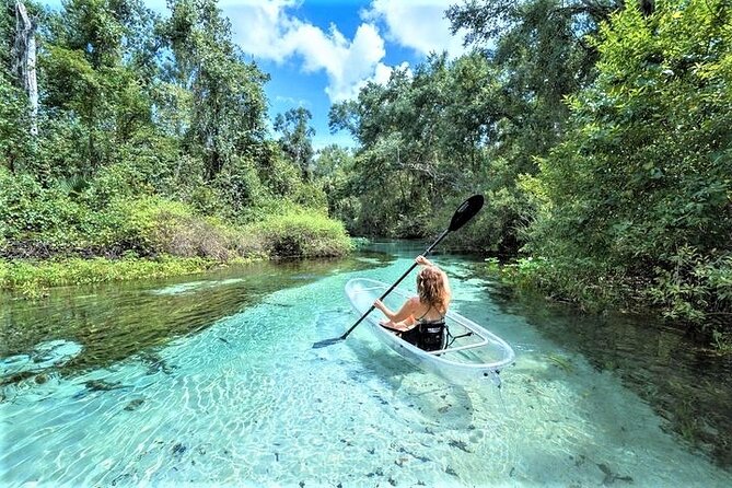 Rock Springs 2-Hour Glass Bottom Guided Kayak Eco Tour - Key things to know before you book