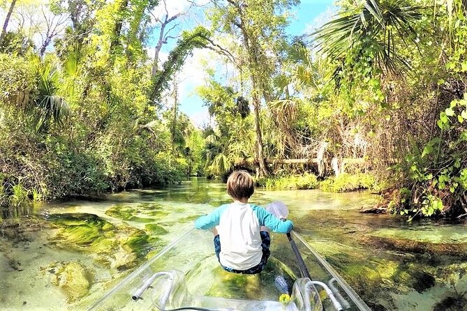 Rock Springs 2-Hour Glass Bottom Guided Kayak Eco Tour - How hard is the paddling?