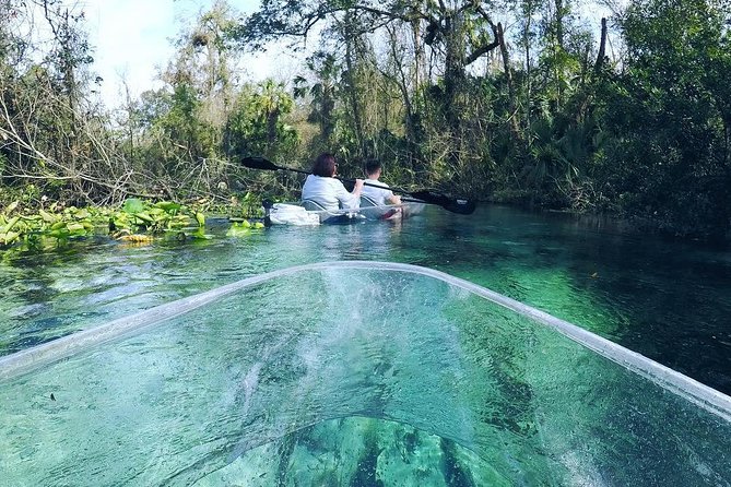 Rock Springs 2-Hour Glass Bottom Guided Kayak Eco Tour - Is the $115 price fair?