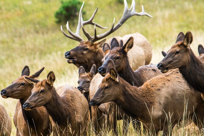 Rocky Mountain Escape - Key Points Before You Book
