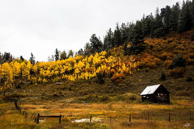 Rocky Mountain Escape - Morning or Afternoon: Which Works Better?