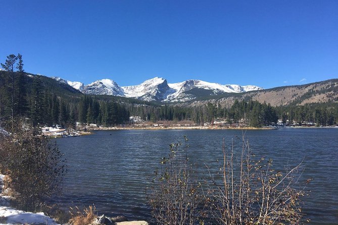 Rocky Mountain National Park and Estes Park Tour from Denver Winter and Spring - Horseshoe Park and the Wildlife Watch