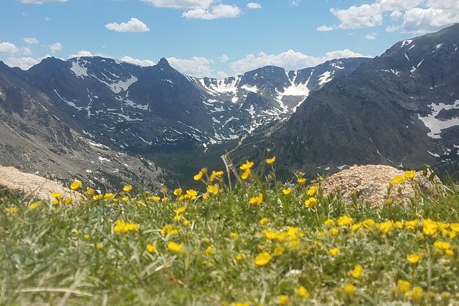 Rocky Mountain National Park in Summer Tour from Denver - Rocky Mountain National Park Summer Tour at a Glance