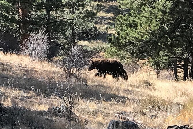 Rocky Mountain National Park in Summer Tour from Denver - Trail Ridge Road and the Alpine Views