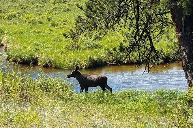 Rocky Mountain National Park in Summer Tour from Denver - Rock Cut and Alpine Visitor Center