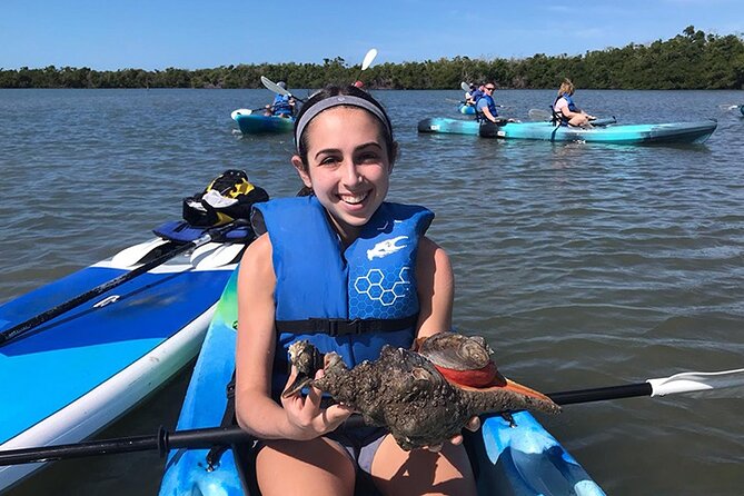 Rookery Bay Kayak Adventure – Mangroves, Wildlife & Photos - Wildlife you might see along the way