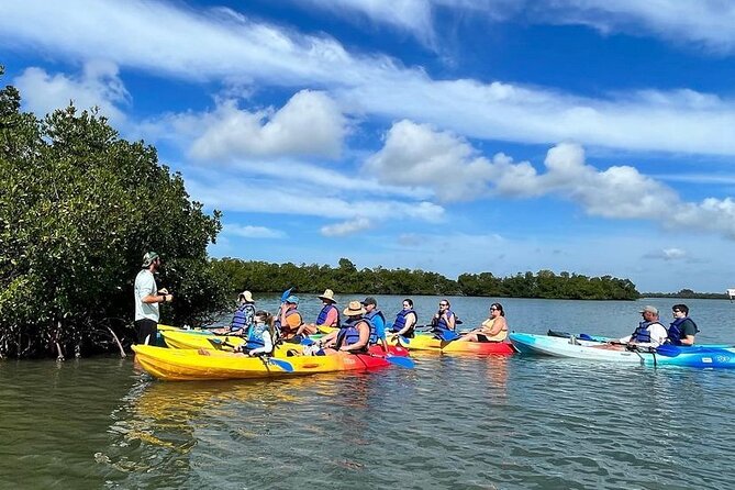 Rookery Bay Kayak Adventure – Mangroves, Wildlife & Photos - The guides are the main strength