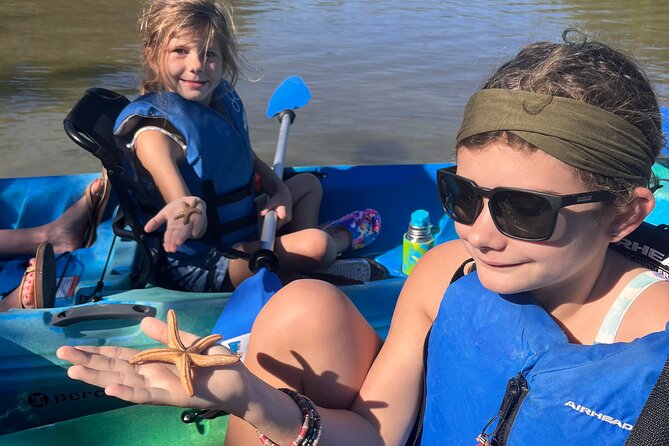 Rookery Bay Kayak Adventure – Mangroves, Wildlife & Photos - A good choice for families and mixed-age groups