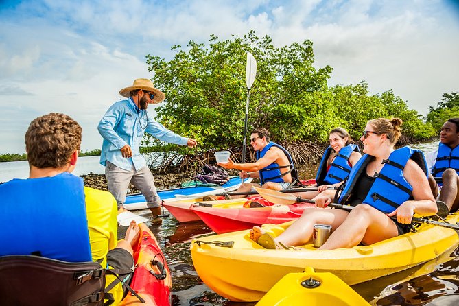 Rookery Bay Kayak Adventure – Mangroves, Wildlife & Photos - Timing, weather, and value