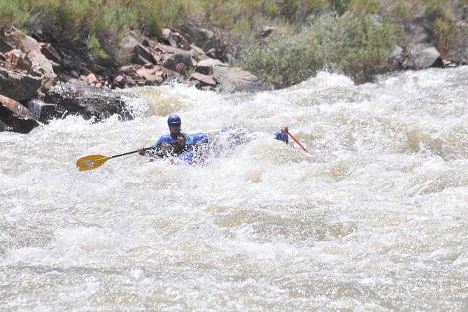Royal Gorge Half-Day Rafting Trip - Wildlife, scenery, and the quieter parts of the trip