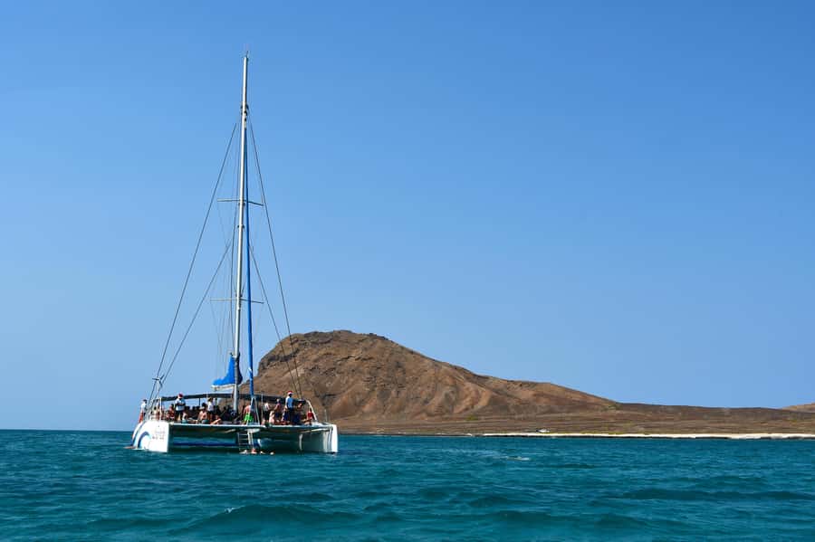 Sal: All-Inclusive Half-Day Lounge Catamaran Cruise - Whale and dolphin sightings: enjoy them if luck is on your side
