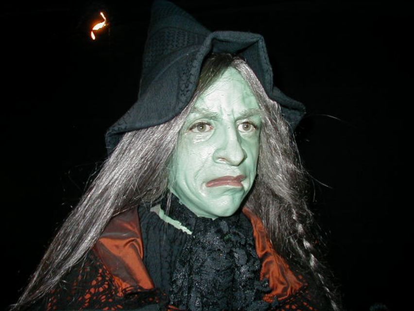 Salem Witch Museum Admission Ticket - Accessibility, language help, and simple planning tips