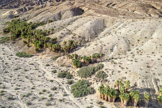 San Andreas Fault Jeep Tour from Palm Desert - Key points to know before you book