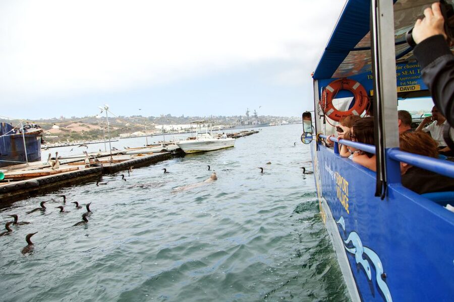 San Diego: SEAL City Tour by Amphibious Bus - Should you book the San Diego SEAL City Tour?