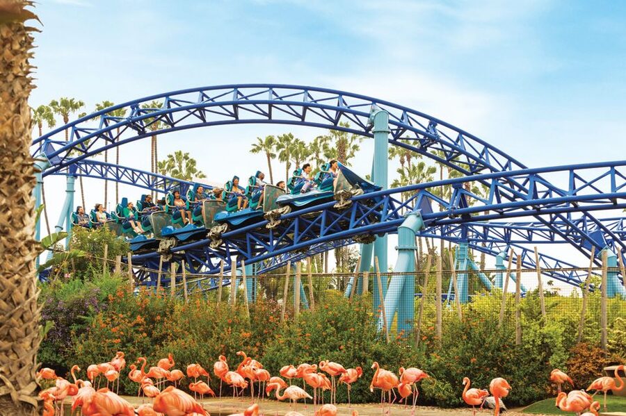 San Diego: SeaWorld Skip-the-Line Park Admission Ticket - Getting into SeaWorld San Diego