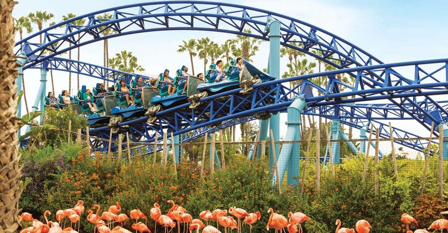 San Diego: SeaWorld Skip-the-Line Park Admission Ticket - Beluga whales, dolphins, sharks, and other marine life