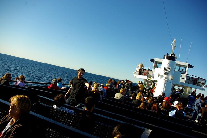 San Diego Whale Watching Cruise - Seasickness and the open ocean