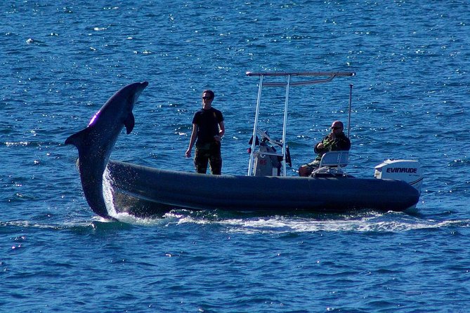 San Diego Whale Watching Cruise - Is $85 a fair price?