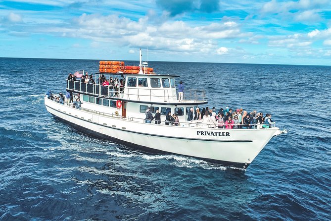 San Diego Whale Watching & Dolphin Cruise - Is $71 a Fair Price?