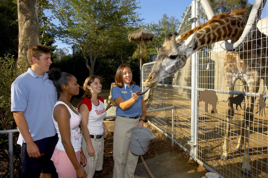 San Diego Zoo: 1-Day Admission Ticket - Start with the guided bus tour
