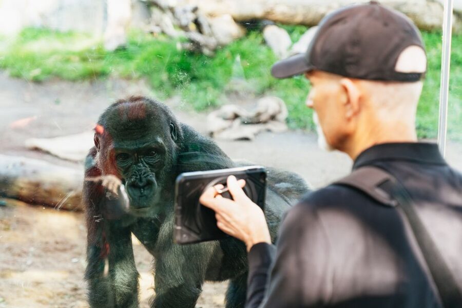 San Diego Zoo: 1-Day Admission Ticket - Shows, keeper moments, and the Children’s Zoo