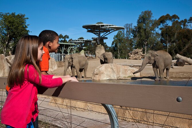 San Diego Zoo 1-Day Pass: Any Day Ticket - Why the San Diego Zoo is worth your time