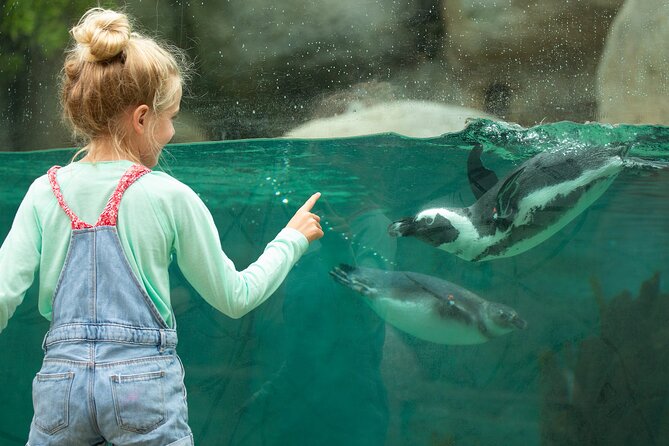 San Diego Zoo 1-Day Pass: Any Day Ticket - Skyfari Tram and the included bus rides
