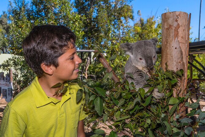 San Diego Zoo 1-Day Pass: Any Day Ticket - Accessibility and getting there