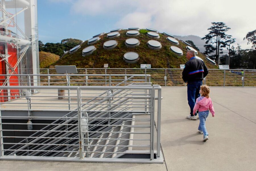 San Francisco: California Academy of Sciences Entry Ticket - Natural history, specimens, and hands-on learning