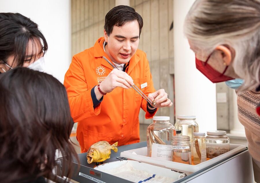San Francisco: California Academy of Sciences Entry Ticket - How long to stay and how to plan the day