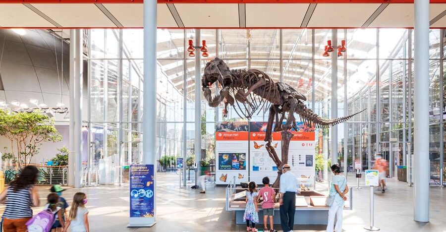 San Francisco: California Academy of Sciences Entry Ticket - Starting with the aquarium and its 60,000 animals