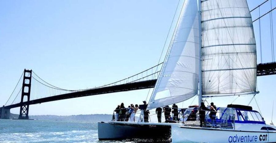 San Francisco: Golden Gate Bridge Catamaran Cruise - Starting beside Pier 39’s sea lions