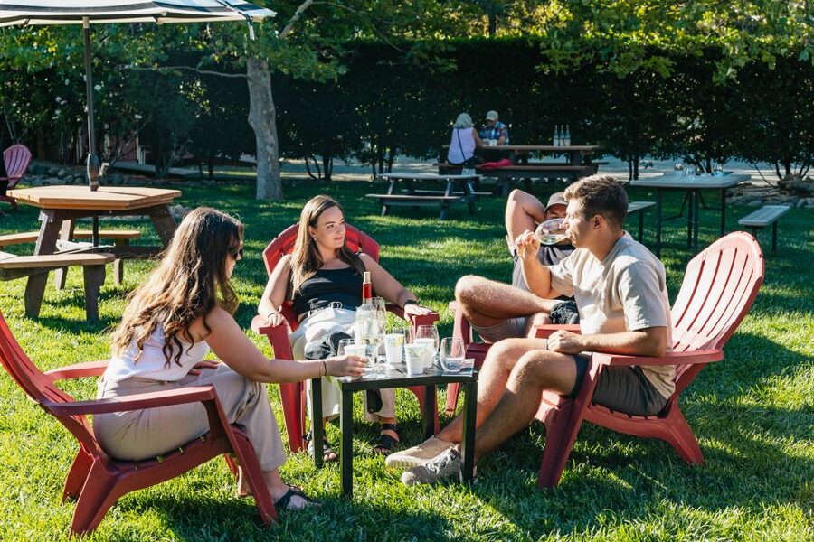 San Francisco: Half-Day Wine Country Excursion with Tastings - The second winery: vineyard views and a slower pause