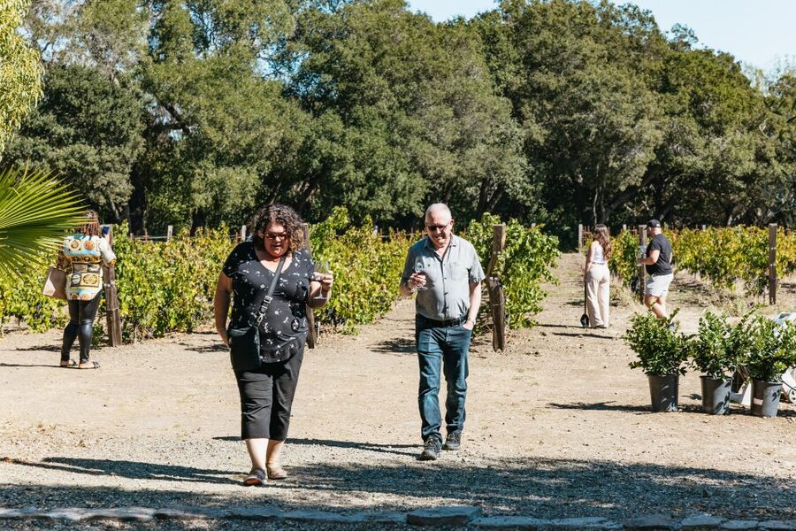 San Francisco: Half-Day Wine Country Excursion with Tastings - The drive through Napa and Sonoma