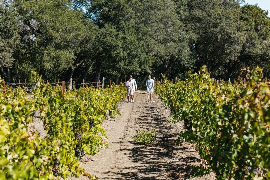 San Francisco: Half-Day Wine Country Excursion with Tastings - What the $109 price really covers