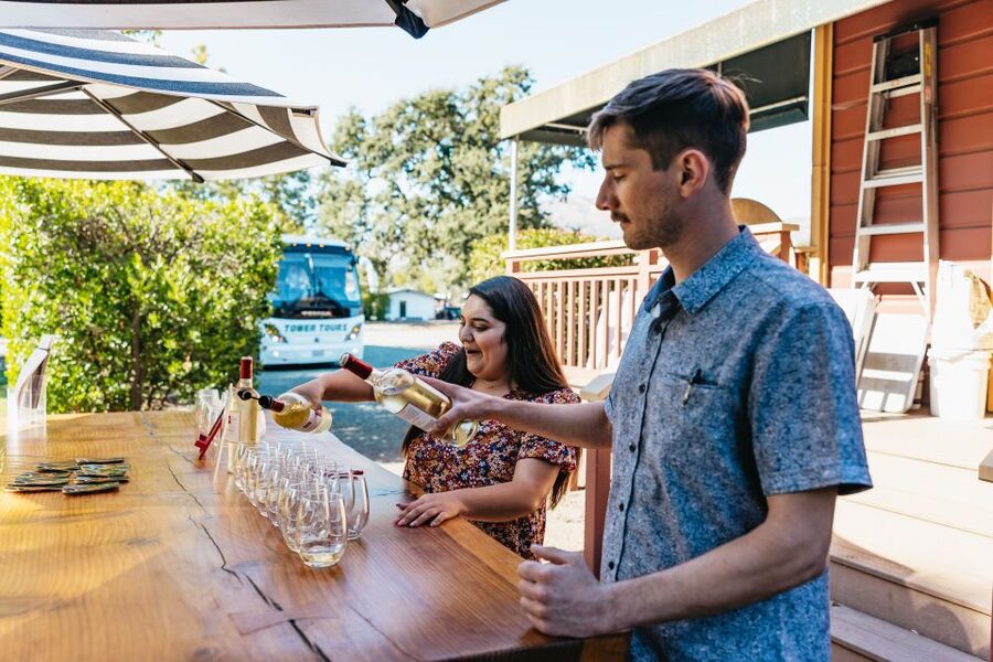 San Francisco: Half-Day Wine Country Excursion with Tastings - Who will enjoy this tour most