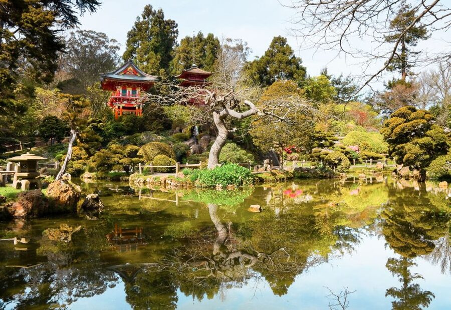 San Francisco: Hop-On Hop-Off Bus with Ferry & Alcatraz Tour - Golden Gate Park, museums, and gardens