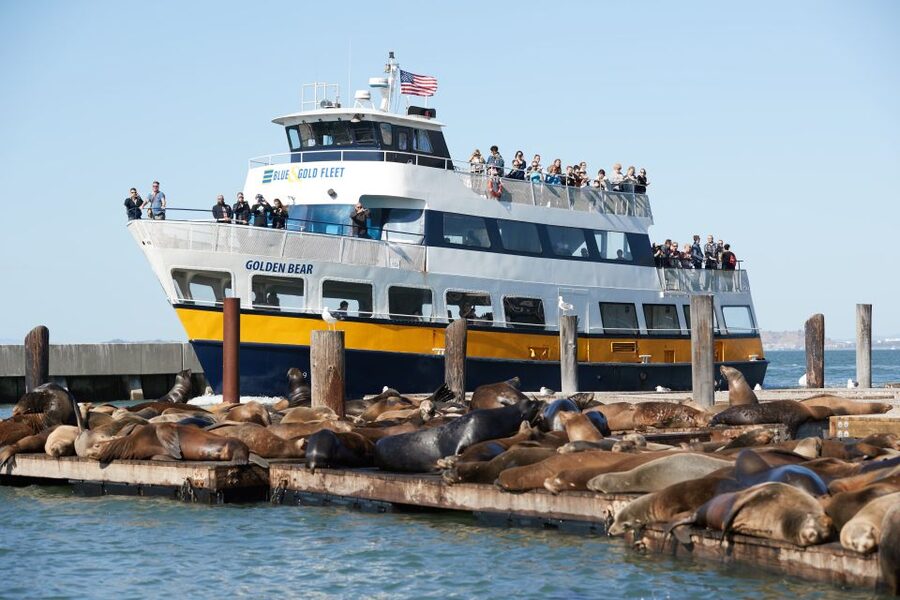 San Francisco: Inside Alcatraz Tour with Bay Cruise - Take time beyond the cellblocks