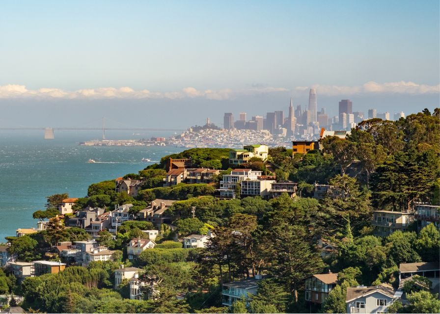 San Francisco: Muir Woods and Sausalito Half-Day Trip - The mini-bus ride: useful information, tight conditions