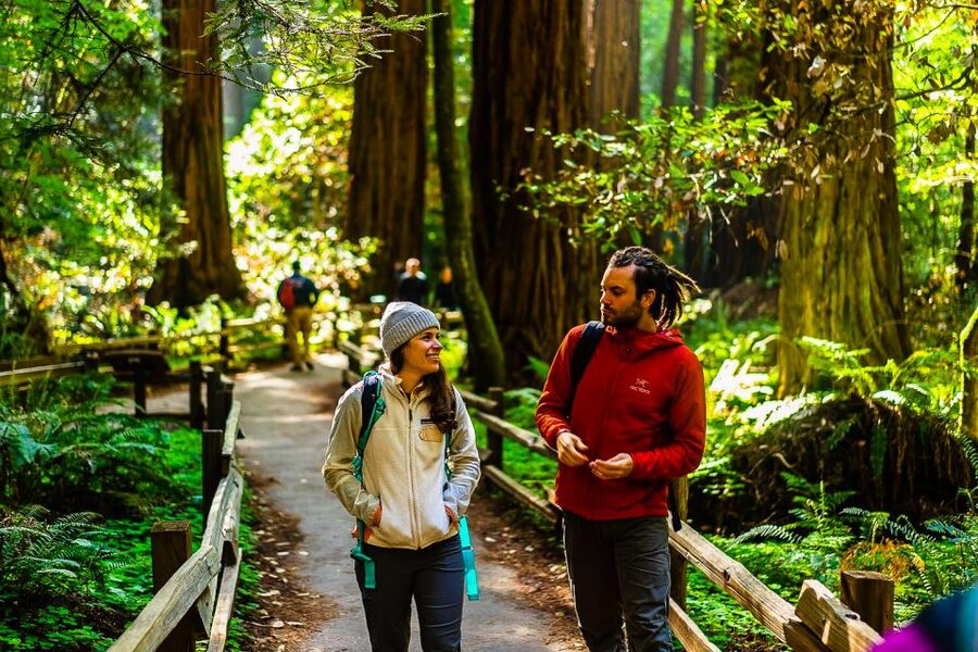 San Francisco: Muir Woods and Sausalito Half-Day Trip - Sausalito: a short taste of bay-side life