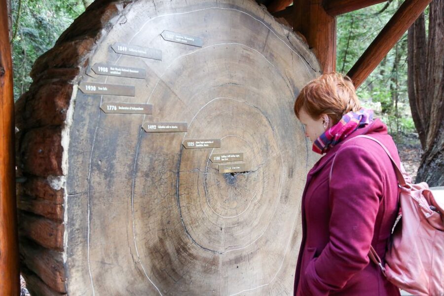 San Francisco: Muir Woods and Sausalito Half-Day Trip - Is $95 a fair price?