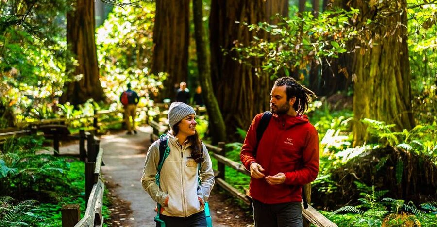 San Francisco: Muir Woods and Sausalito Half-Day Trip - Muir Woods: 90 minutes beneath ancient redwoods