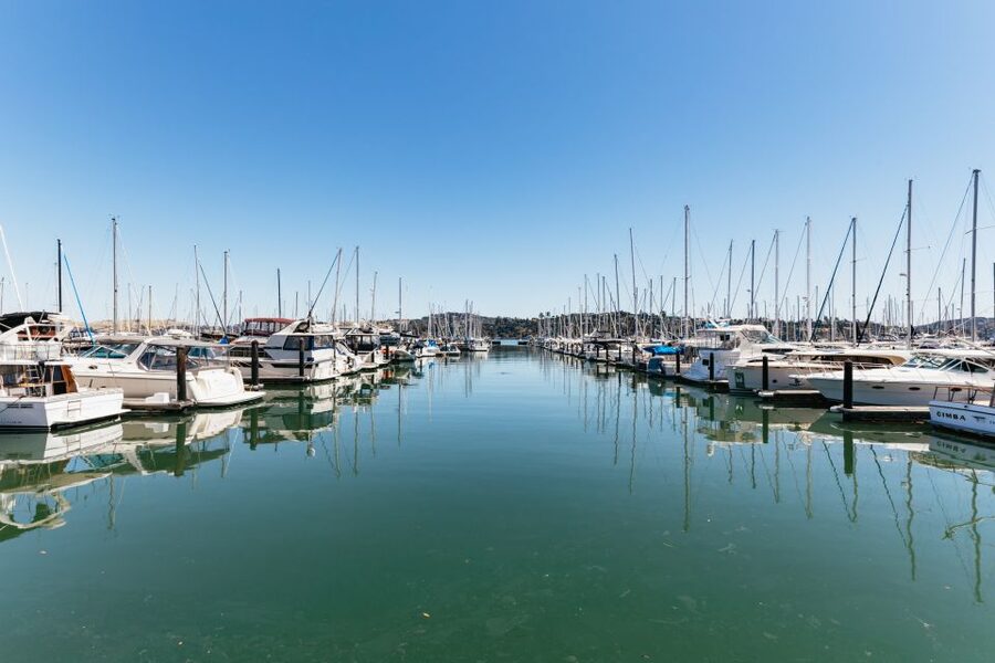San Francisco: Muir Woods and Sausalito Small-Group Tour - Key points at a glance