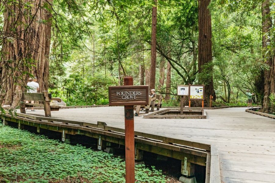 San Francisco: Muir Woods and Sausalito Small-Group Tour - Who should book this outing?