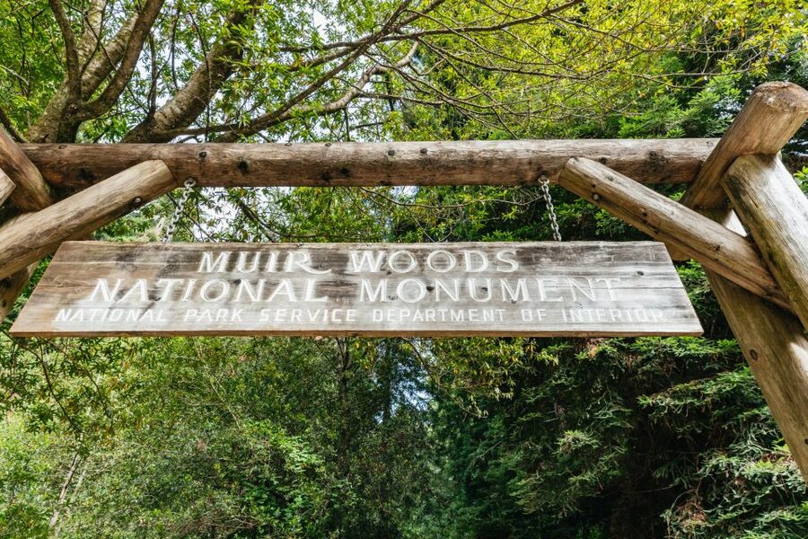 San Francisco: Muir Woods and Sausalito Small-Group Tour - What the five-hour schedule really feels like